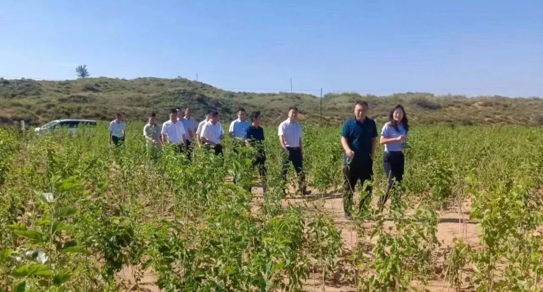 181692355714169028.jpeg 181692355714169028.jpeg